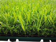 China Deportes al aire libre del polipropileno de la larga vida que suelan la cáscara anti con la hierba artificial compañía